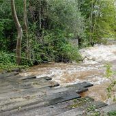 „Wissen mit der Situation umzugehen“