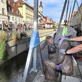 Karl Obermayr am Freisinger Stadtbach