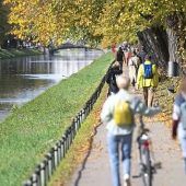 Zecken auch bei Kälte aktiv