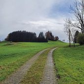 Die Suche nach dem Bären