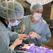 Der Serien-Star mit dem Skalpell