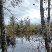 Tonwerksweiher wie gemalt