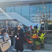 Von Grünkohl bis Hibiskus