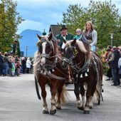 Tradition für Groß und Klein: 50 festlich geschmückte Pferde beim Leonhardiritt in Happing