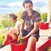 Zum Winzer in Italien werden