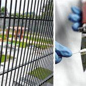 Angriff auf Oberarzt eine Tat im Wahn?