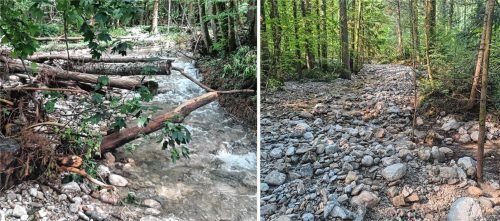 Bachbett und Ufer des Weißenbachs oberhalb von Graben und bei Thal sind voller Kies, Geschiebe und Wildholz. Wird da nicht geräumt, könnte es beim nächsten Hochwasser zu noch stärkeren Verklausungen und Ausuferungen kommen. Doch der Gemeinde sind die Hände gebunden. Fotos privat