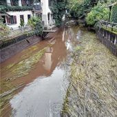 Wieder im Einsatz für die Fische