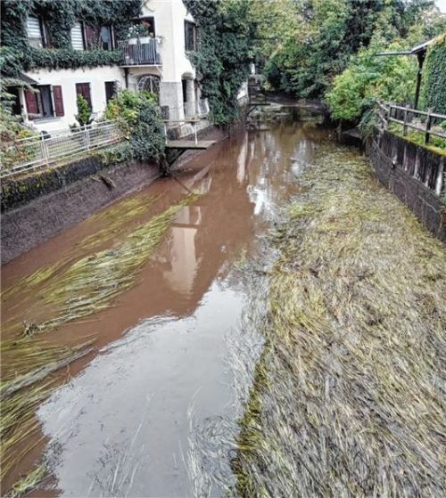 Blick in den Mühlbach von der Münchner Straße in Bad Aibling aus.