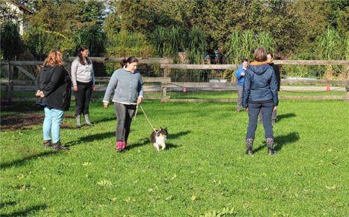 Carmen Höler mit Madame Mim bei der Prüfung. Foto Riediger