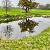Zaunpflicht für Löschweiher