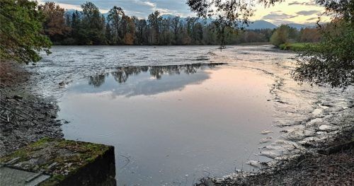 Der Landkreis Rosenheim will in den kommenden vier Jahren weiter trockengelegte Moorflächen renaturieren und sie vernässen. Unser Bild zeigt eine intakte Moorfläche bei Wasserwiesen in der Nähe von Pang.Fotos Hadersbeck