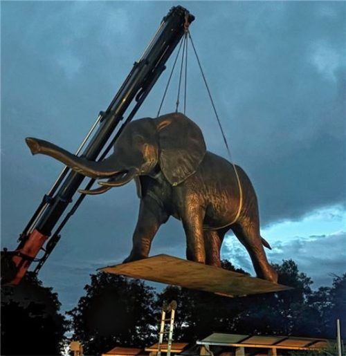 Der Morgen dämmert gerade, als die über drei Tonnen schwere Elefantendame „Mama Africa“ in Bad Aibling einschwebt. Ihr neues Domizil: der „Garten Eden“ an der Rosenheimer Straße.
