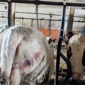 Neues „Rimsting“ in Riedering?