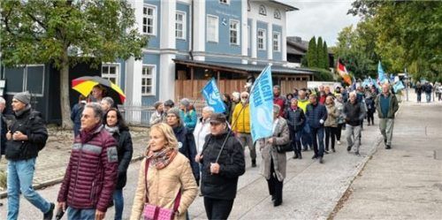 Die Teilnehmer der Demonstration der Initiative „Friedensland Deutschland“ zogen vom Wendelsteinpark an die Schären. Foto Hinmüller