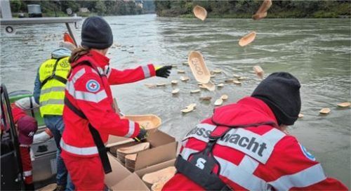 Die Wasserwacht setzte die Schifferl in den Inn. Foto kr