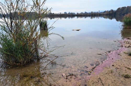 Eine Wasserprobe durch das Wasserwirtschaftsamt soll neue Erkenntnisse bringen. Foto Hadersbeck