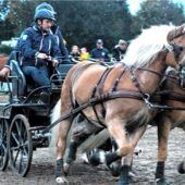 75 Jahre Zuchttradition