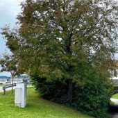 Mit dem Radl künftig sicherer unterwegs