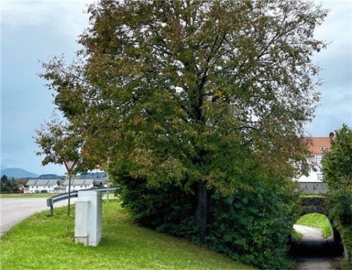 Für mehr Verkehrssicherheit sollen die beiden Zufahrten zur Radwegeunterführung am Krankenhausweg zum Ortsteil Kirchdorf – hier der Blick aus Richtung Kirchdorf – mit retro-reflektierenden Mittellinien versehen und dadurch die Radfahrer auf die rechte Fahrbahnseite geführt werden. Foto Torsten Neuwirth