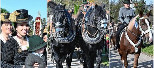 Immer wieder ein Erlebnis: Beim Leonhardiritt in Leonhardspfunzen bestaunten Hunderte Besucher Rösser, Reiter und Trachtler. Fotos  Schlecker