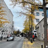 Hundekot oder Erbrochenes?