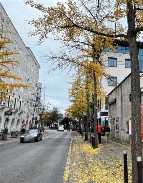 In der Prinzregentenstraße in Rosenheim beschweren sich zahlreiche Bürger über den Geruch. Foto Alina Huzun