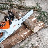 Hecke stört: Nachbar greift zur Motorsäge