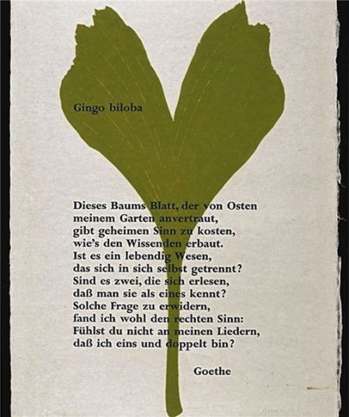 Johann Wolfgang von Goethe: „Gingo biloba.“ Einblattdruck von Josua Reichert, Freies Deutsches Hochstift. Foto Frankfurter Goethe Museum