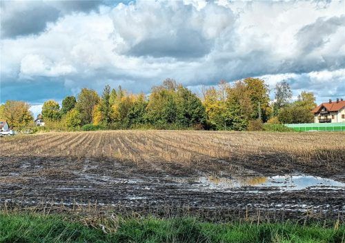 Keine Mehrheit fanden die Pläne für eine Wohnbebauung zwischen der Bahnlinie (rechts) und der Häuserzeile an der Falkensteinstraße.Foto Stuffer-Chunphetch