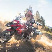 In luftiger Höhe auf den Spitzenplatz