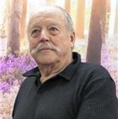 Tierschutzpartei willin den Bundestag