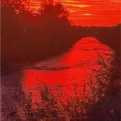 Eine große Palette an Rottönen