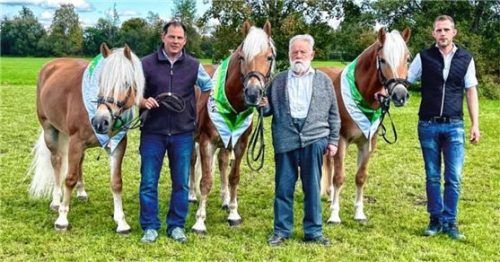 Stolz präsentiert Wolfgang Grandauer (Mitte) seine Siegerin „Granada G“ sowie „Georgia G“ (Sebastian Grandauer, links) und „Gala G“ (Thomas Himmelstoß, rechts), die zusammen die Auszeichnung „Sieger Familiensammlung Haflinger“ mit nach Nußdorf nehmen konnten.Foto re