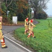 Feuerwehr eilt Schwan zu Hilfe