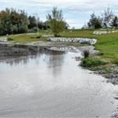 Giftige Algen im Höglinger Weiher