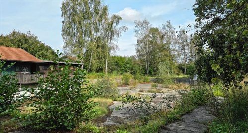 Wird aus dem alten Moorbad jetzt doch ein Naturbad? Eine ehrenamtliche Arbeitsgruppe als Bindeglied zwischen Moorbadverein und Gemeinderat soll jetzt bei den Weichenstellungen helfen. Foto Ammelburger