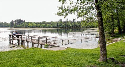 Zugewachsen, überdüngt und bald verlandet? Wie steht es um den Tinninger See? Foto Reisner
