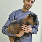 Tiktok-Ziege von Tankstelle gerettet