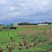 Weniger Flüchtlinge