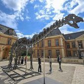 Ein Dinosaurier fürs Wohnzimmer