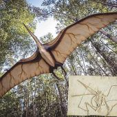 Bayerischer Gigant der Lüfte