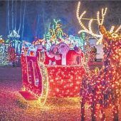 Kolenda-Singen, Eiszauber und Krippenspiel