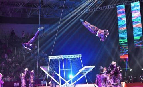 Akrobatik pur beim 1. Rosenheimer Weihnachtszirkus.