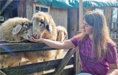Angelina Kohoutek und die Brillenschafe der Familie.