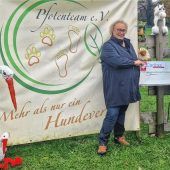 Wenn Kinder ein Storchennest bauen