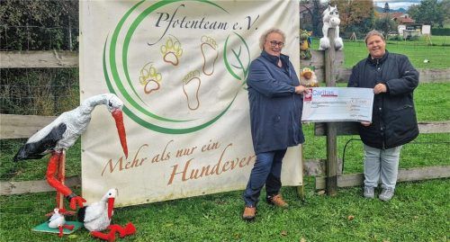 Claudia Brunner vom Verein Pfotenteam (links) und Cindy Kock, Initiatorin und Mitarbeiterin in der Caritas-Kita Wiederkunft Christi, freuen sich über die Spenden aus ganz Deutschland für das eigene Storchennest. Foto re