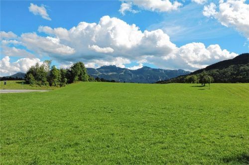 Das Projekt, mit dem der Frasdorfer Anger (Bild) bebaut werden soll, spaltet die Gemeinde.Foto rehberg