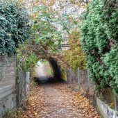 Traum von der Fahrradstraße geplatzt