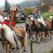 120 Reiter trotzen dem Nebel